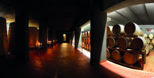 Wein-Welten.com: TRE ROSE – Große Rotweine der Toskana