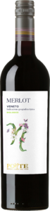 Merlot Veneto Biologico – Stelvin