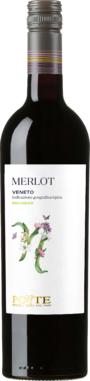 Merlot Veneto IGT Biologico
