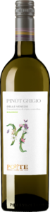 Pinot Grigio delle Venezie Biologico – Stelvin
