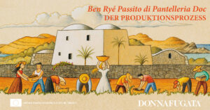 Donnafugata: Ben Ryé Passito – Der Produktionsprozess